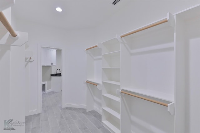 spacious closet with sink