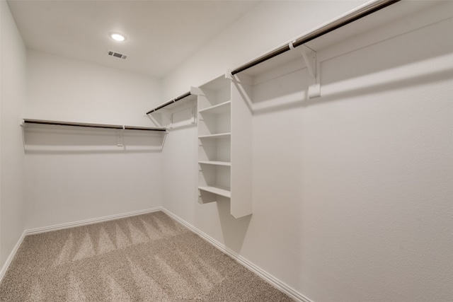 spacious closet with carpet floors