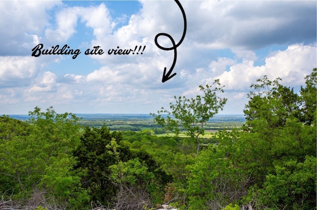 Listing photo 2 for TBD County Road 2140, Iredell TX 76649