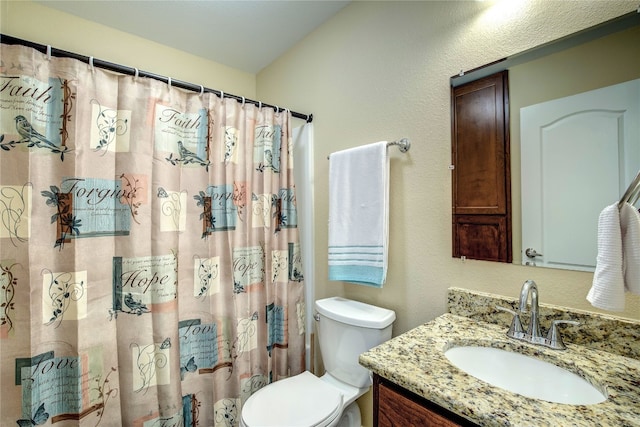 bathroom with toilet and vanity