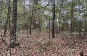 8142 S Lakeshore Dr, Shreveport LA, 71119 land for sale