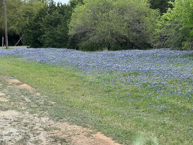 Listing photo 3 for 1628 White Bluff Dr, Whitney TX 76692