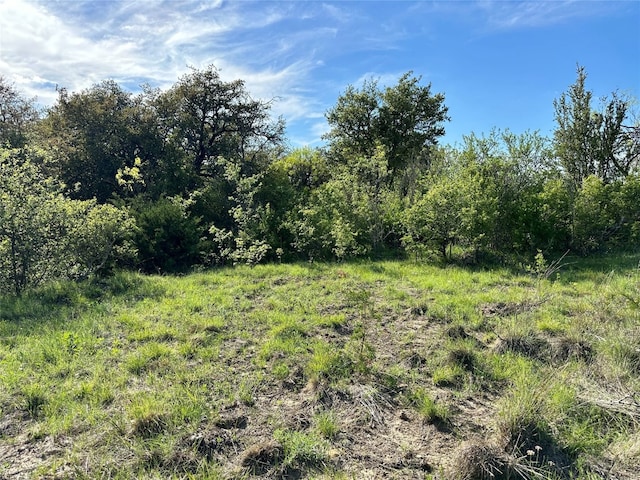 Listing photo 2 for TBD4 County Rd 153, Comanche TX 76442