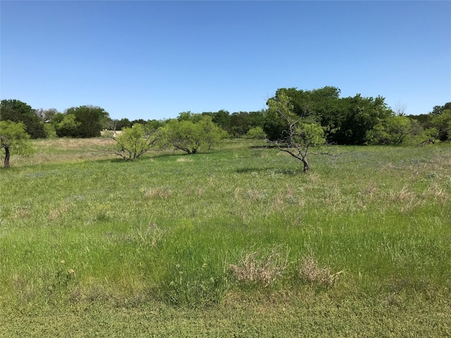 19115 White Bluff Dr, Whitney TX, 76692 land for sale