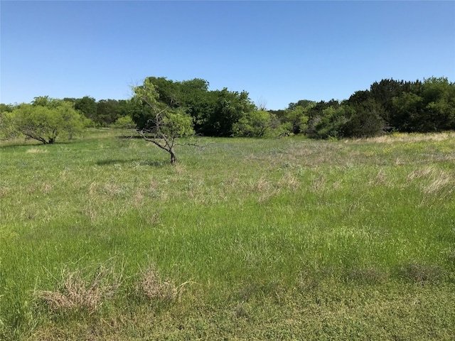 Listing photo 3 for 19115 White Bluff Dr, Whitney TX 76692