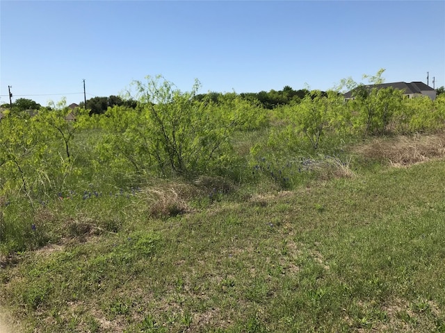 Listing photo 2 for 7138 Sandy Oaks Dr, Whitney TX 76692