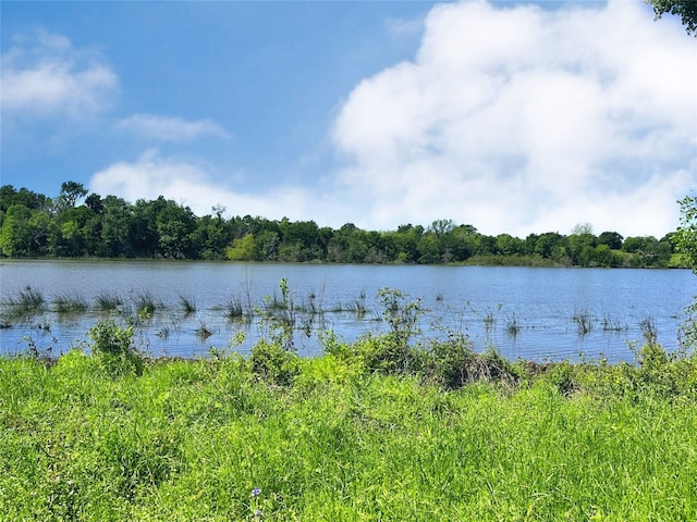 LOT71 Paradise Cv, Streetman TX, 75859 land for sale