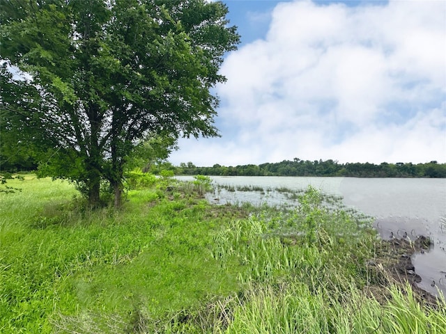 Listing photo 2 for LOT71 Paradise Cv, Streetman TX 75859