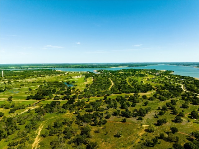 Listing photo 3 for TBD Safe Harbor Dr, Brownwood TX 76801