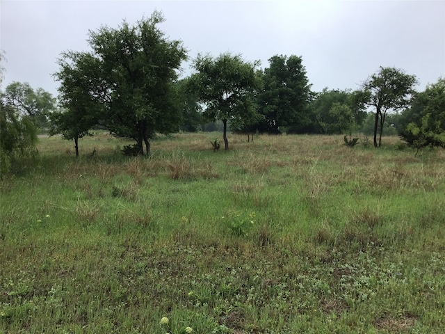 42122 Crooked Stick Dr, Whitney TX, 76692 land for sale