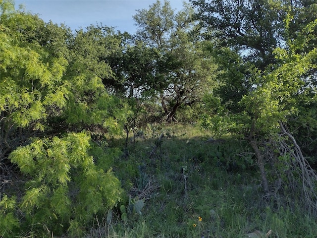 LOTS53-54 Janda Ln, Brownwood TX, 76801 land for sale