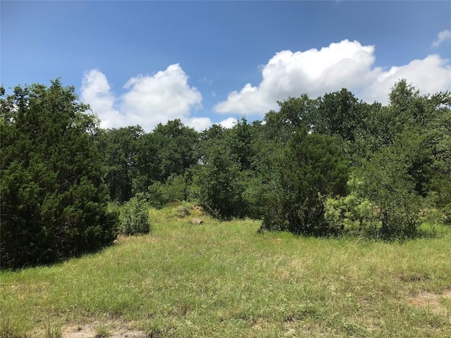 Listing photo 2 for LOT27 N Lakeview Dr, Palo Pinto TX 76484