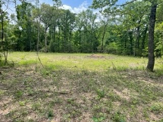 TBD4 Fm 1848, Buffalo TX, 75831 land for sale