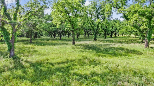 Listing photo 2 for 179 County Road 348, Gorman TX 76454