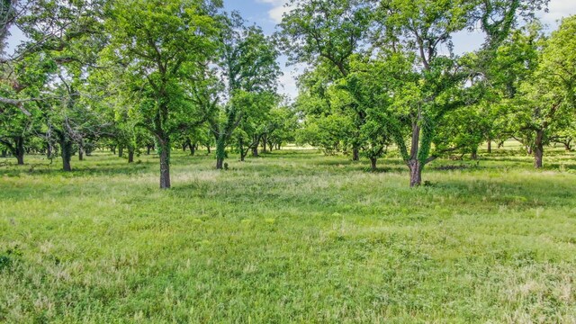 Listing photo 3 for 179 County Road 348, Gorman TX 76454