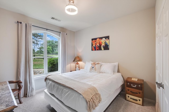 bedroom featuring carpet floors and multiple windows