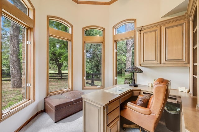 office space featuring a wealth of natural light, a high ceiling, and crown molding