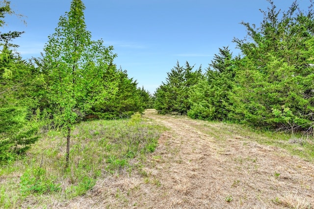 TBD Airport Road, Tioga TX, 76271 land for sale