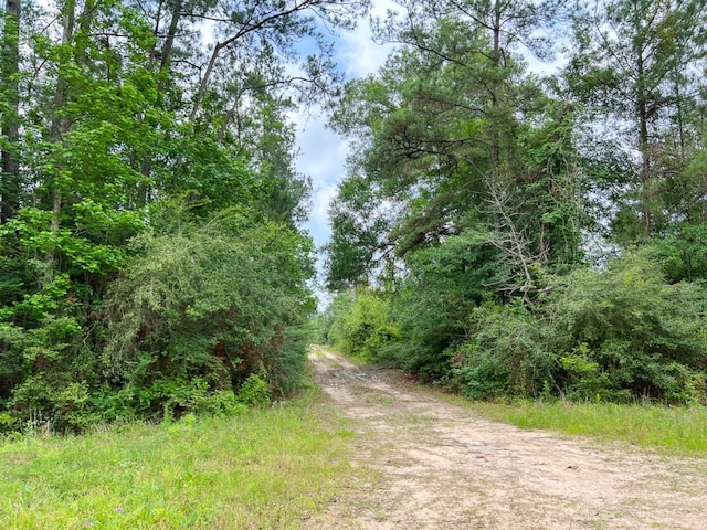 05 Old Arco Rd, Silsbee TX, 77656 land for sale