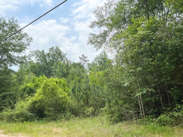 Listing photo 2 for 010 Old Arco Rd, Silsbee TX 77656