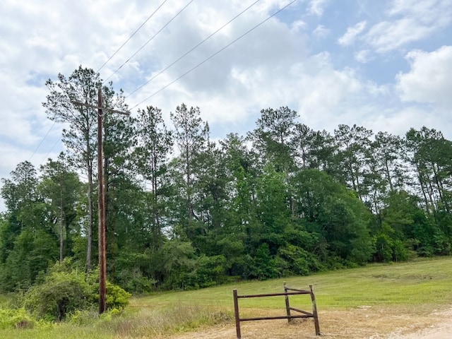 Listing photo 3 for 010 Old Arco Rd, Silsbee TX 77656