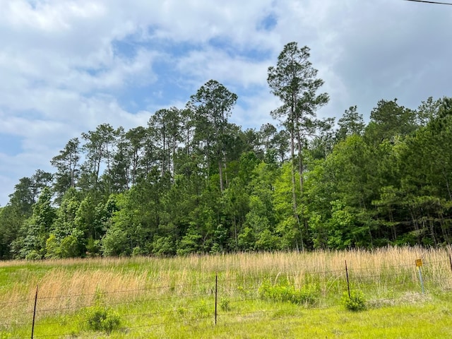 00000 Elise Gore Ln, Silsbee TX, 77656 land for sale