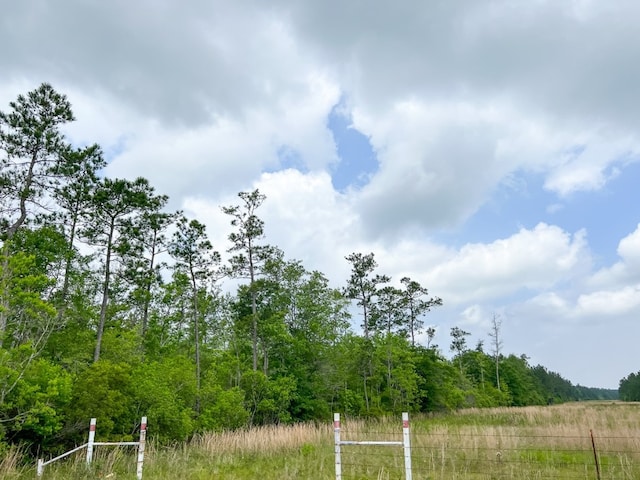 Listing photo 3 for 00000 Cravens Camp Rd, Silsbee TX 77656