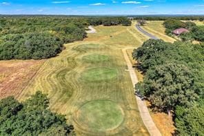 Listing photo 2 for LOT17 S Oakmont Ct, Gordonville TX 76245