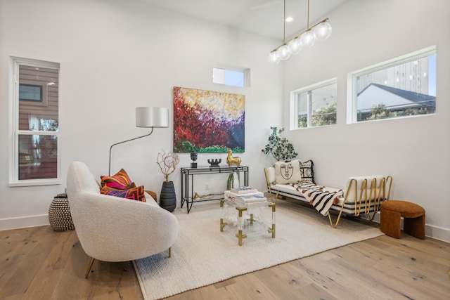 sitting room with hardwood / wood-style flooring