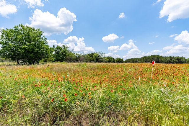 Listing photo 2 for 1307 County Road 2120, Meridian TX 76665