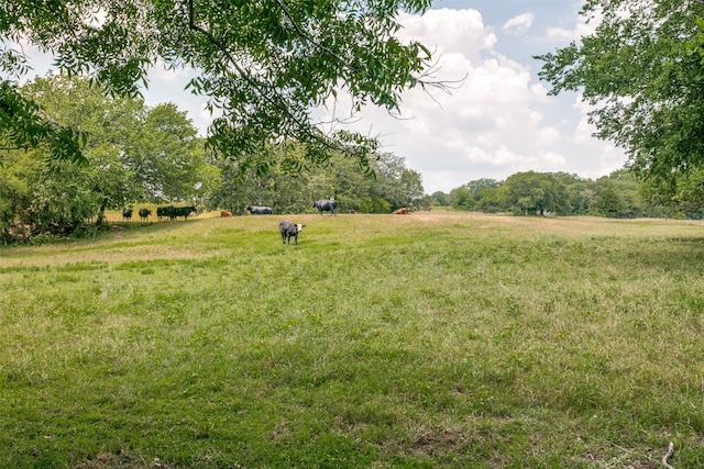 view of yard featuring a rural view