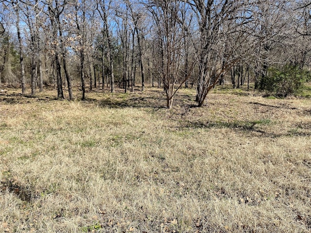 Listing photo 2 for TBD County Road 603c, Burleson TX 76028