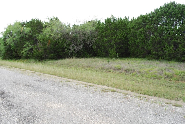 Listing photo 3 for 23067 Oak Ridge Dr, Whitney TX 76692