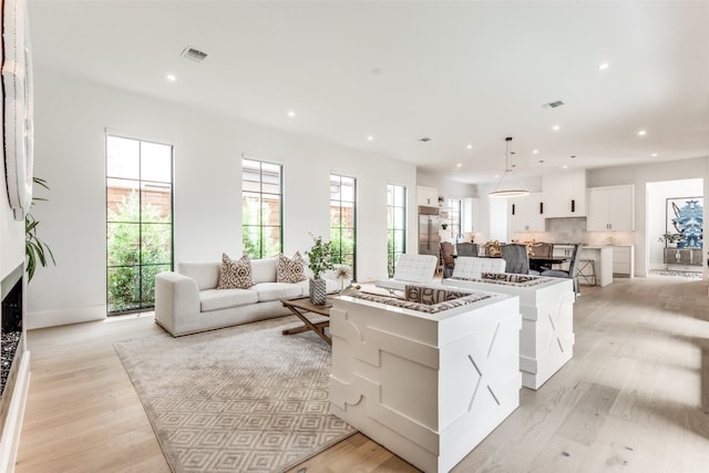 living room featuring light hardwood / wood-style floors and a wealth of natural light