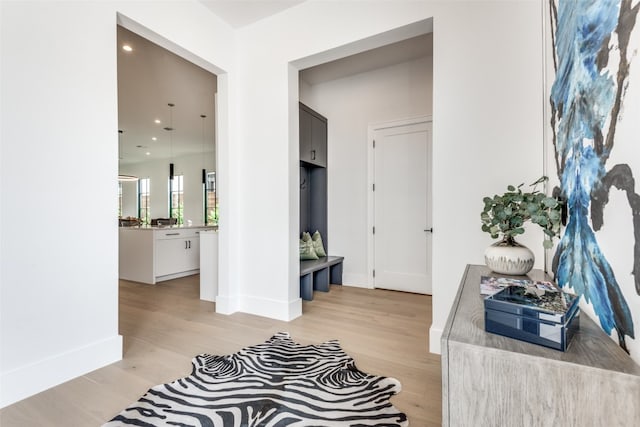 foyer entrance with light hardwood / wood-style flooring