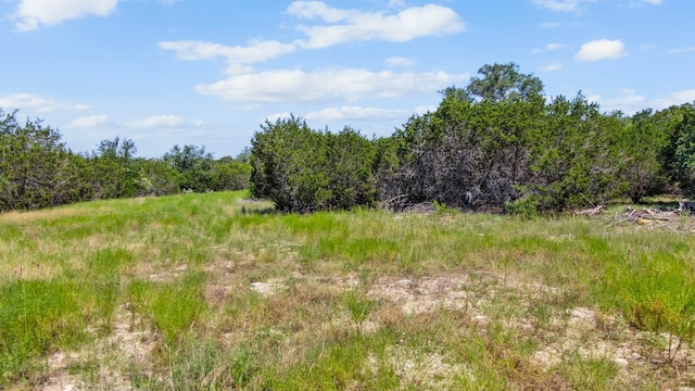 Listing photo 2 for 8500 Paluxy Hwy, Tolar TX 76476