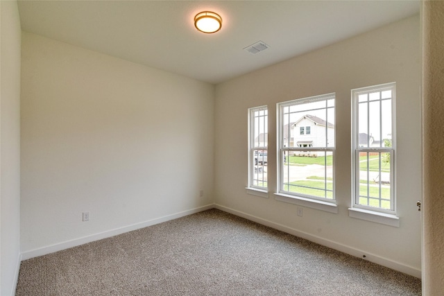 carpeted empty room featuring a wealth of natural light