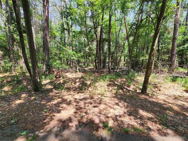 LOT37 Whipporwill Ln, Mount Vernon TX, 75457 land for sale