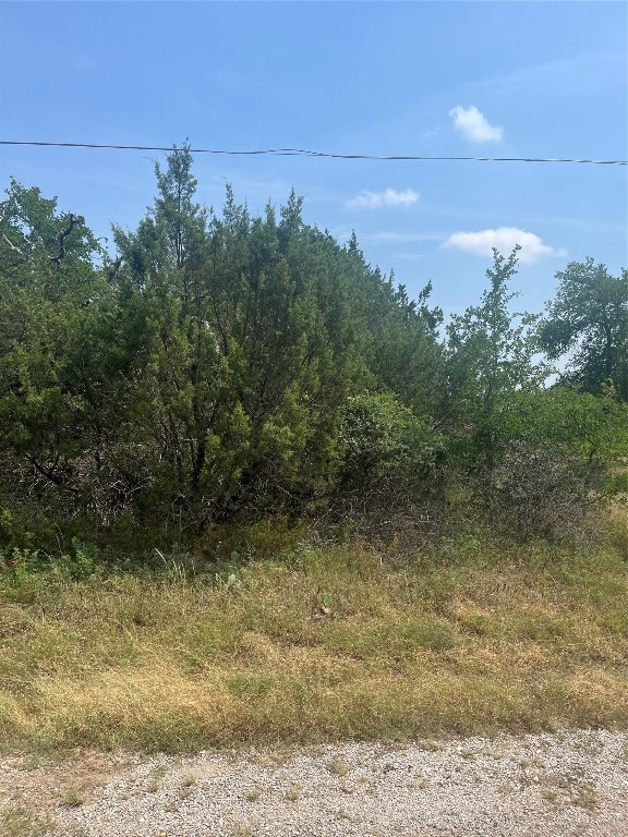 Listing photo 2 for 3416 Alabama Trl, Granbury TX 76048