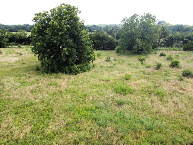 Listing photo 2 for LOT5 Crk 1400, Ravenna TX 75476