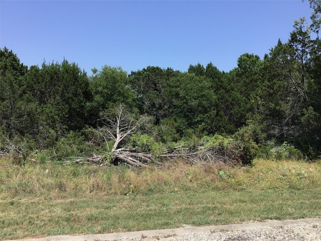 45120 Fire Barrel Dr, Whitney TX, 76692 land for sale