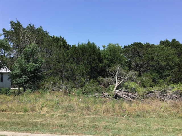 Listing photo 2 for 45120 Fire Barrel Dr, Whitney TX 76692