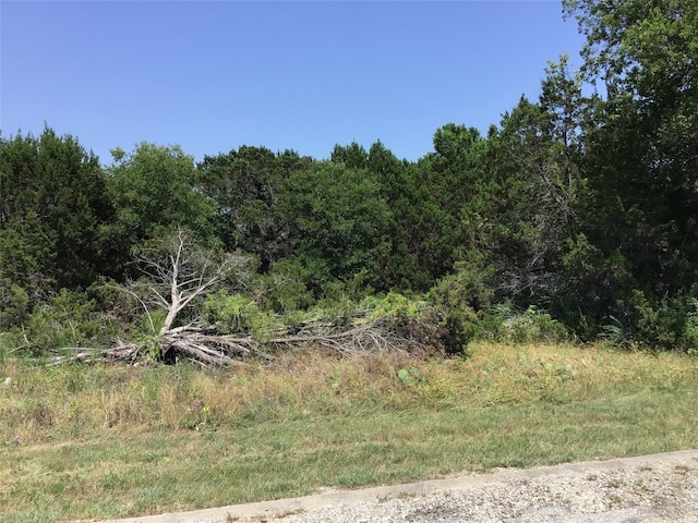 Listing photo 3 for 45120 Fire Barrel Dr, Whitney TX 76692