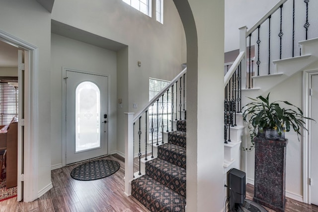 foyer entrance featuring plenty of natural light, a high ceiling, and hardwood / wood-style flooring