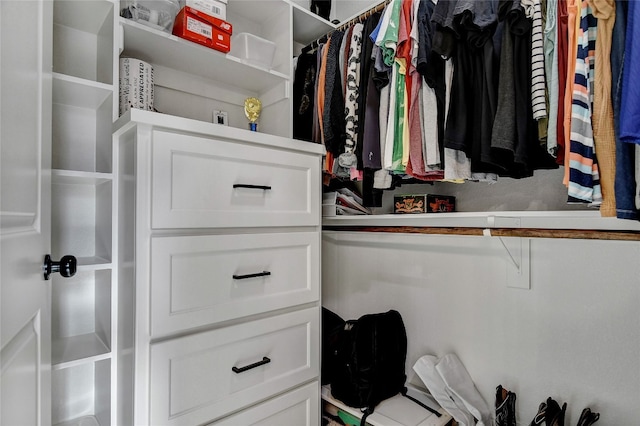 view of spacious closet