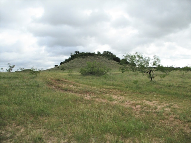 Listing photo 2 for 105AC Two Bush, Perrin TX 76486