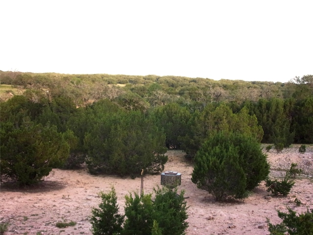 view of local wilderness