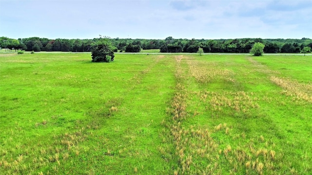 view of yard featuring a rural view