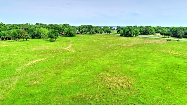 view of yard with a rural view