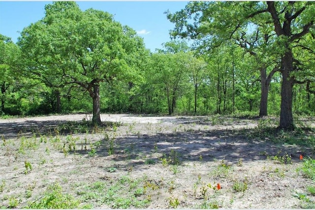 TBD Timber Creek, Stephenville TX, 76401 land for sale